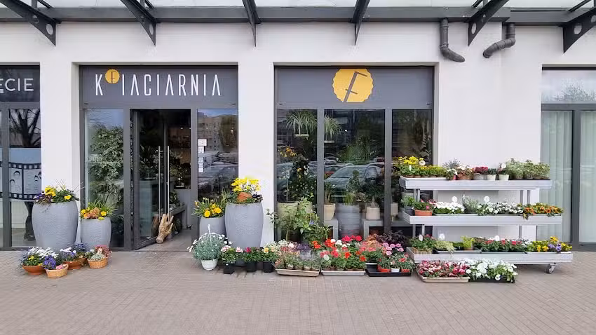 Kfiaciarnia Galeria Zaspa