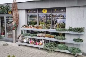 kFiaciarnia Przytulna