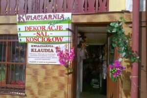 Klaudia. Kwiaciarnia. Kozłowska J.