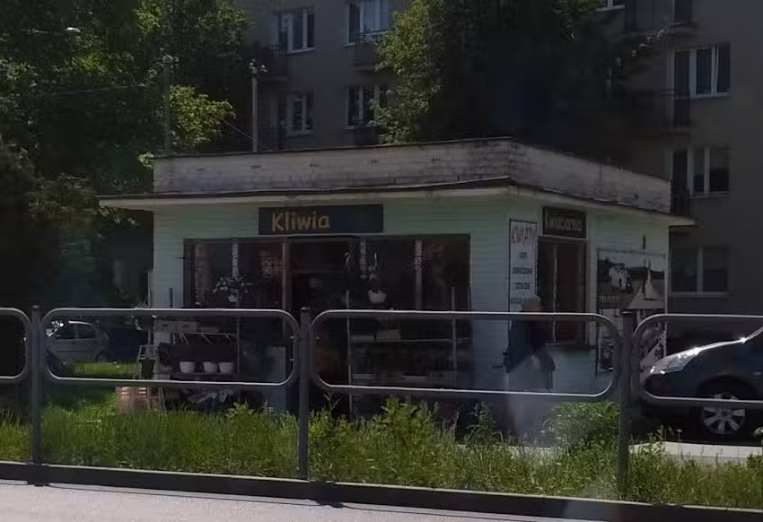 Kliwia. Kwiaciarnia. Wojtysek A.