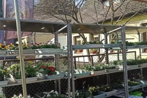 Konicka Danuta. Kwiaciarnia