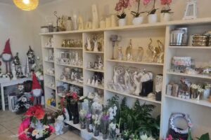 Kot Bronisław Kwiaciarnia