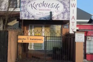„Krokusik” – Kwiaciarnia u Kasi