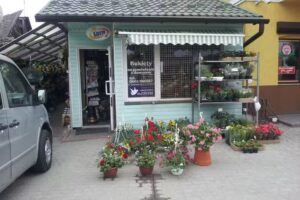 Król Anna Kwiaciarnia