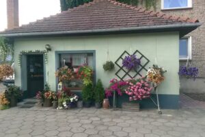 Krystyna. Kwiaciarnia. Rudnik K.