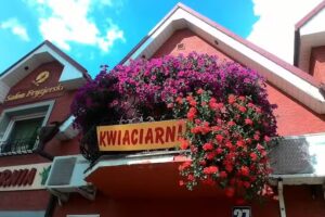 Kulig Zbigniew. Kwiaciarnia