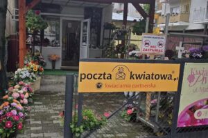 Kwiacarnia Piwonia Ewelina Szumilak