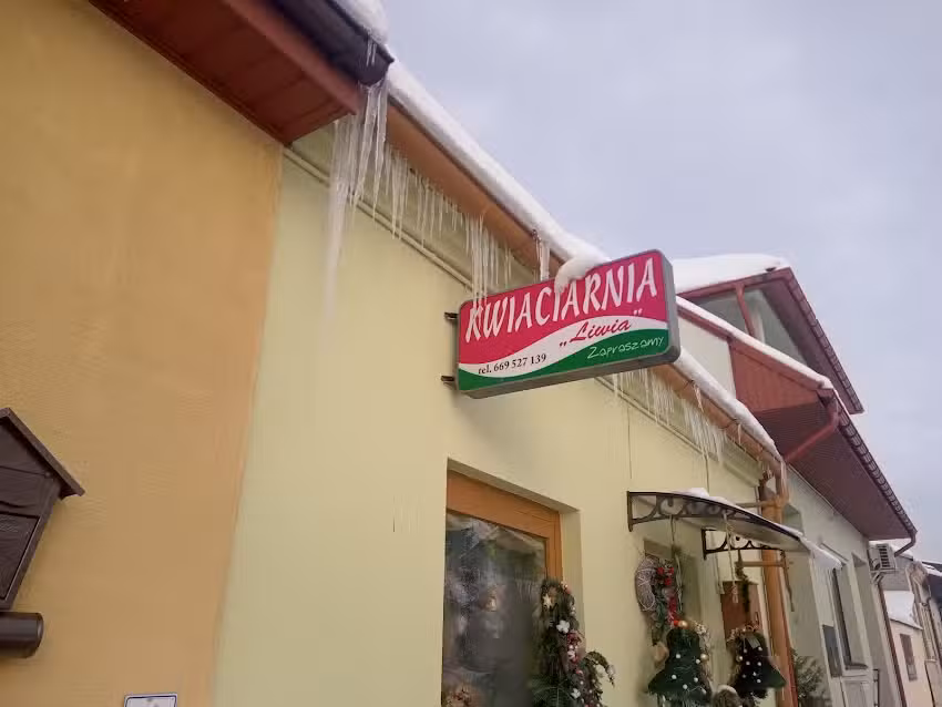 Kwiaciaraia „Liwia” Sylwia Curyło