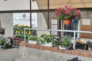 KwiaciarAnia Pracownia Florystyczna