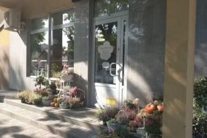 Kwiaciarenka Maria Ruta