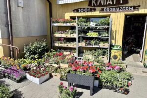 Kwiaciarnia 1001 drobiazgów