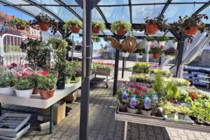 Kwiaciarnia Ad Anna Dziewiałtowska