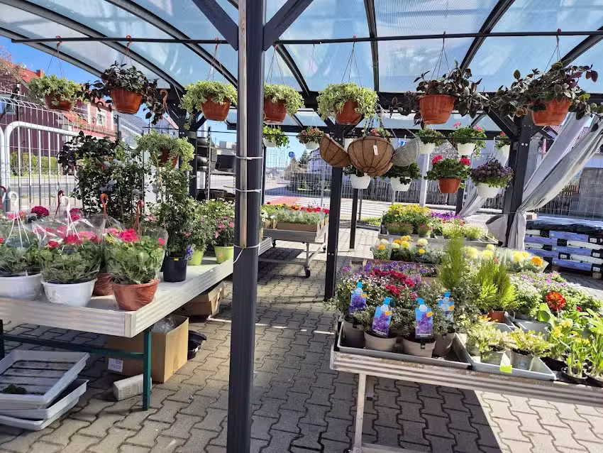 Kwiaciarnia Ad Anna Dziewiałtowska