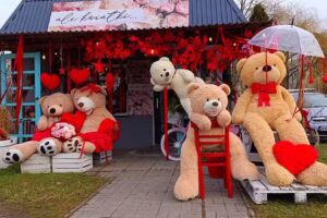 KWIACIARNIA ale kwiatki…