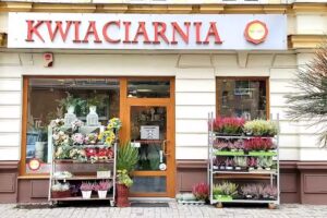 Kwiaciarnia Ali-Art Kochanowskiego