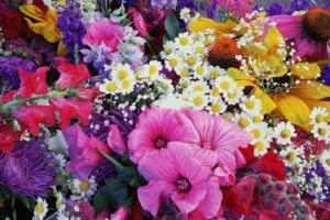 Kwiaciarnia – Alicja Bryła