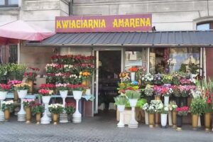 Kwiaciarnia Amarena