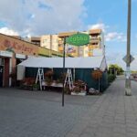 Kwiaciarnia AMARYLIS