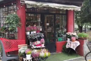 Kwiaciarnia AMELIA Anna Jaguś