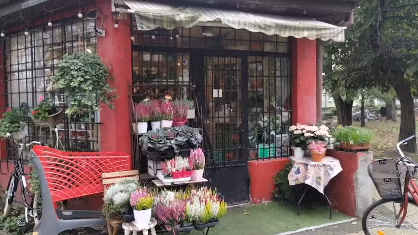 Kwiaciarnia AMELIA Anna Jaguś