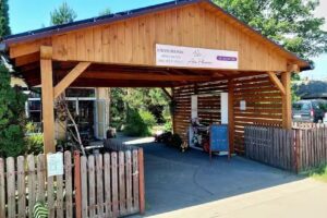 Kwiaciarnia Ann Flowers