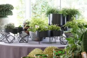 Kwiaciarnia Anna Korzeniewska