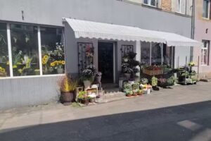 Kwiaciarnia Anna Struzik