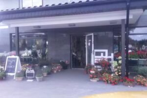 Kwiaciarnia Arleta Hampel