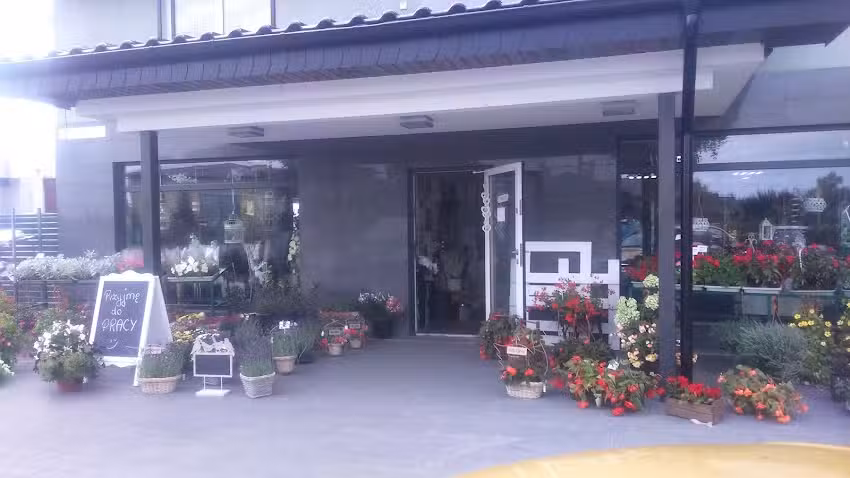 Kwiaciarnia Arleta Hampel