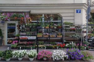 Kwiaciarnia „Aromaty Kwiatów”