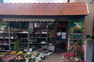 Kwiaciarnia Artystyczna Poczta kwiatowa