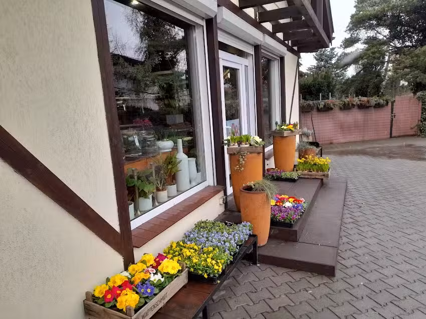 Kwiaciarnia Atena Luboń