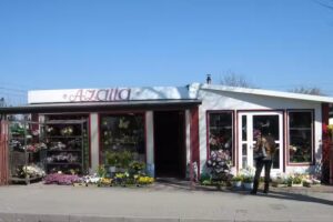 Kwiaciarnia Azalia