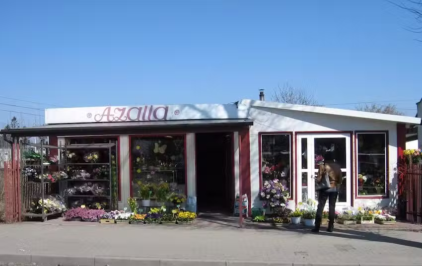 Kwiaciarnia Azalia