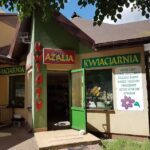 Kwiaciarnia Azalia