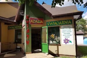 Kwiaciarnia Azalia