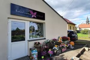 Kwiaciarnia Azalia – Czarków