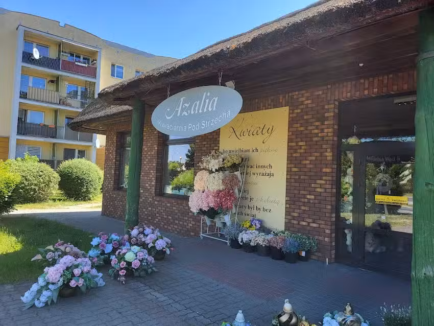 Kwiaciarnia Azalia Iława Dąbrowskiego