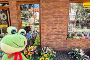 Kwiaciarnia Azalia Iława Park