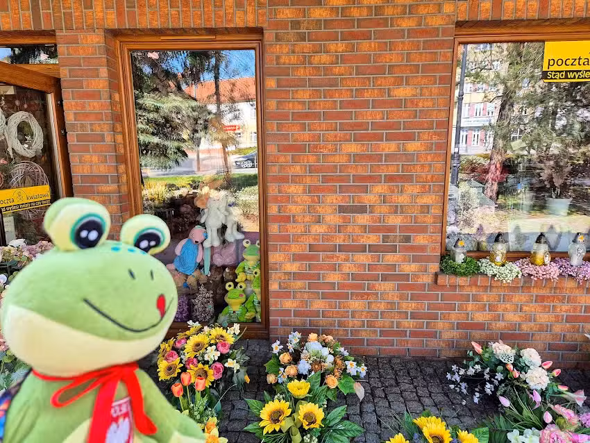 Kwiaciarnia Azalia Iława Park