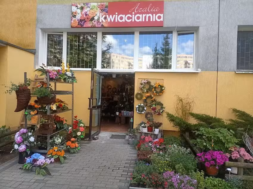 Kwiaciarnia Azalia Olsztyn