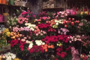 Kwiaciarnia Azalia Poczta Kwiatowa