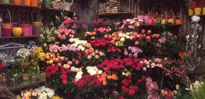 Kwiaciarnia Azalia Poczta Kwiatowa