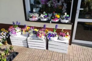 Kwiaciarnia Azalia Sławno P. Szymura