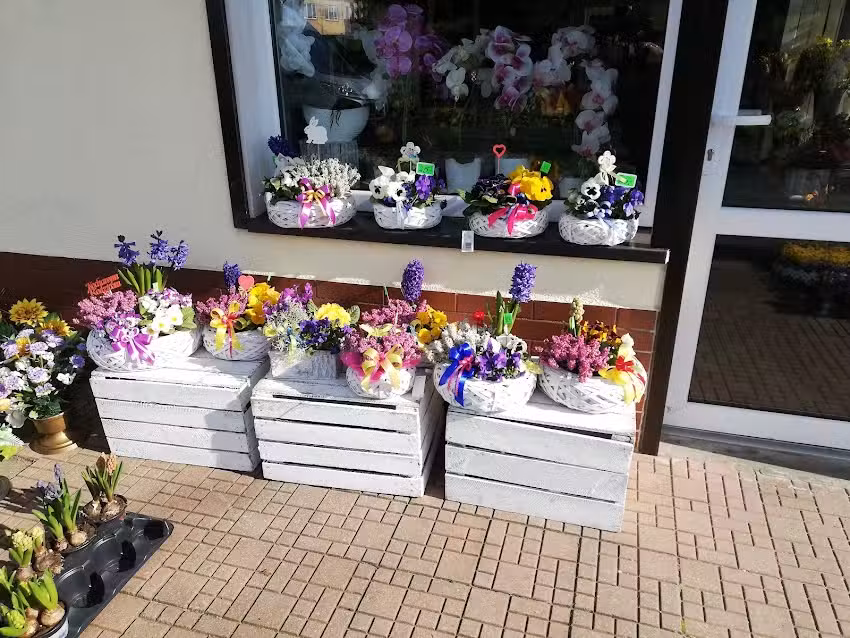 Kwiaciarnia Azalia Sławno P. Szymura