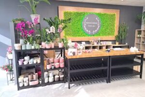 Kwiaciarnia Babie Lato Kutno