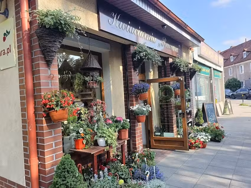 Kwiaciarnia Baccara Lucyna Eichert