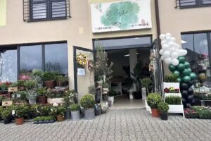 KWIACIARNIA BAJKA pracownia florystyczna