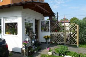 Kwiaciarnia BB – profesjonalna florystyka