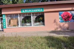 Kwiaciarnia Beauty Flowers Katarzyna Sawicka